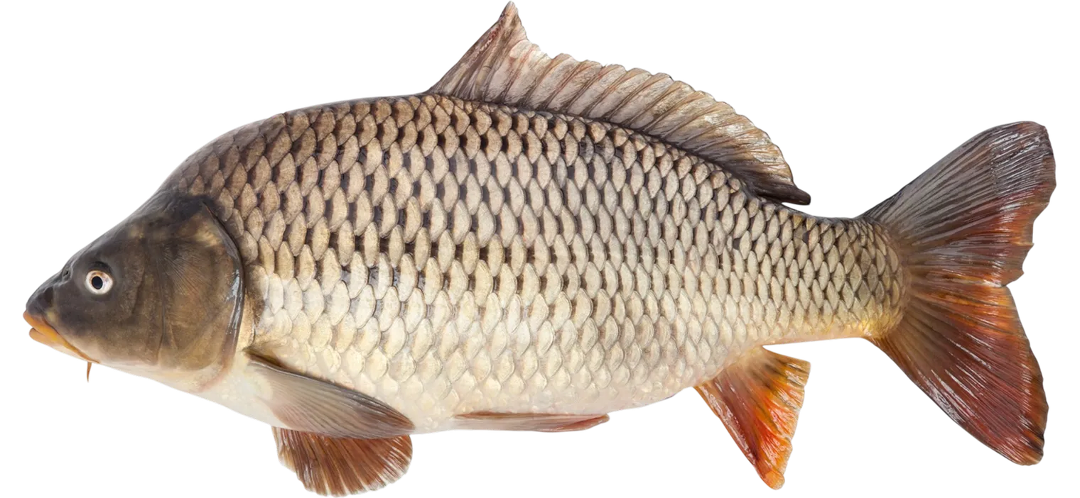 213