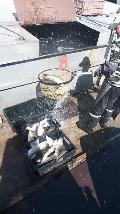 Друзья всем привет