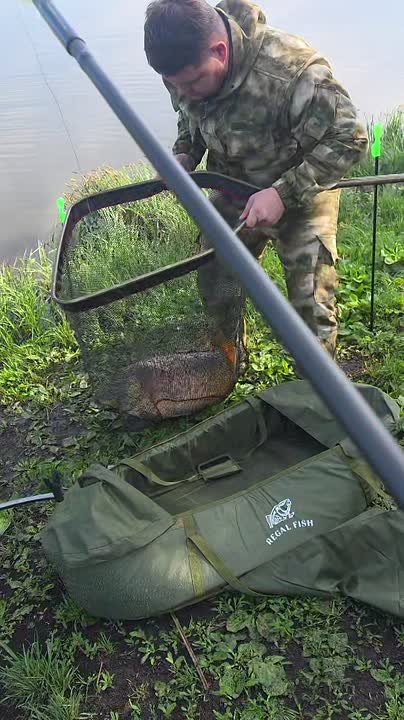 Друзья всем доброе утро