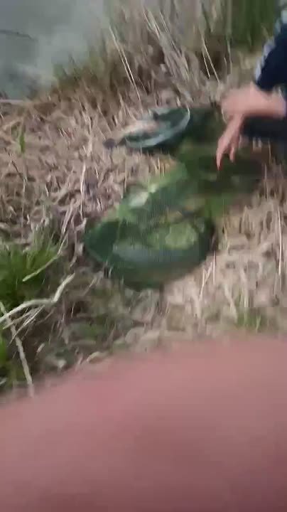 Друзья а вот так делать не надо